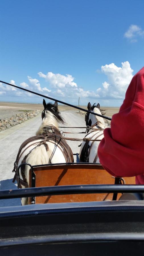 Les Chevaux De L'Hippocampe Hotel Mont-Dol Екстериор снимка