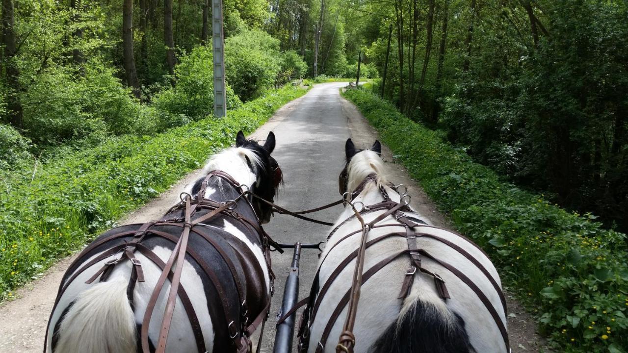 Les Chevaux De L'Hippocampe Hotel Mont-Dol Екстериор снимка